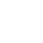 m i s t i c białe logo